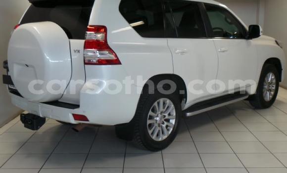 Buy Used Toyota Prado White Car in Maseru in Maseru Buy Used Toyota Prado White Car in Maseru in Maseru