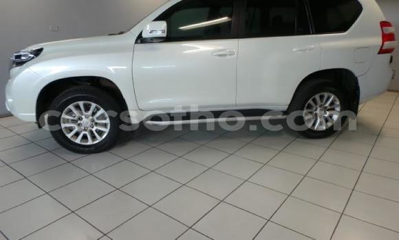 Buy Used Toyota Prado White Car in Maseru in Maseru Buy Used Toyota Prado White Car in Maseru in Maseru