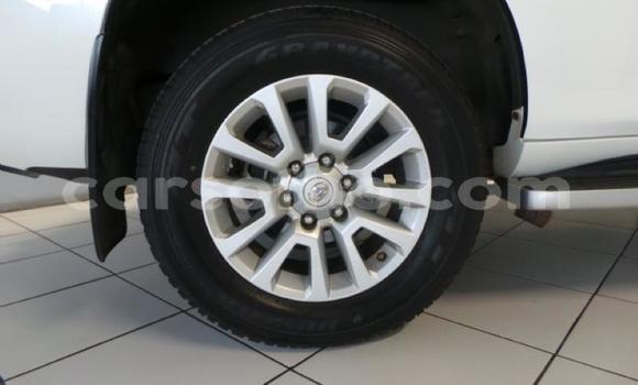 Buy Used Toyota Prado White Car in Maseru in Maseru Buy Used Toyota Prado White Car in Maseru in Maseru