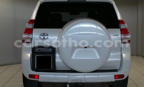 Buy Used Toyota Prado White Car in Maseru in Maseru Buy Used Toyota Prado White Car in Maseru in Maseru
