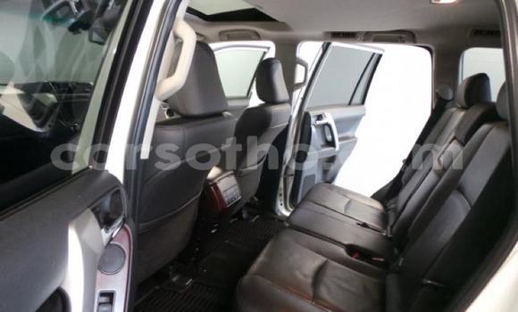 Buy Used Toyota Prado White Car in Maseru in Maseru Buy Used Toyota Prado White Car in Maseru in Maseru