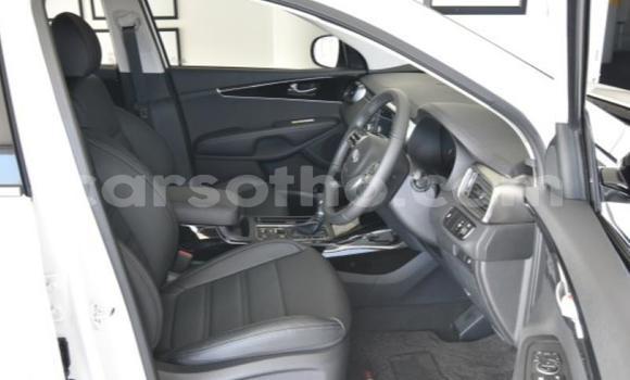 Acheter Occasion Voiture Kia Sorento Blanc à Maseru, Maseru Acheter Occasion Voiture Kia Sorento Blanc à Maseru, Maseru