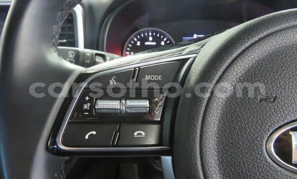 Acheter Occasion Voiture Kia Sportage Gris à Maseru, Maseru Acheter Occasion Voiture Kia Sportage Gris à Maseru, Maseru