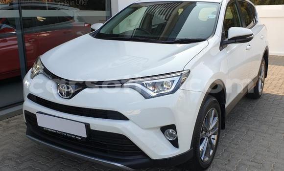 Buy Used Toyota RAV4 White Car in Maseru in Maseru Buy Used Toyota RAV4 White Car in Maseru in Maseru