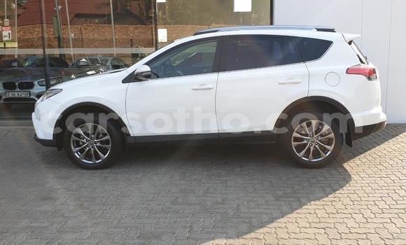 Buy Used Toyota RAV4 White Car in Maseru in Maseru Buy Used Toyota RAV4 White Car in Maseru in Maseru