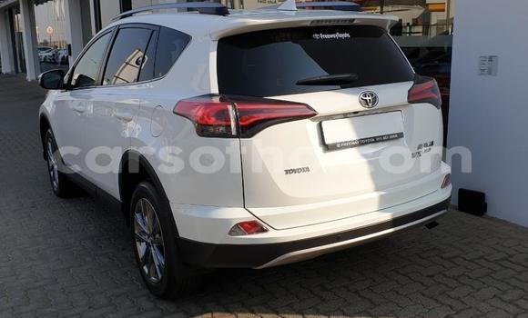 Buy Used Toyota RAV4 White Car in Maseru in Maseru Buy Used Toyota RAV4 White Car in Maseru in Maseru