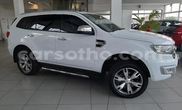 Buy Used Ford Everest White Car in Maseru in Maseru Buy Used Ford Everest White Car in Maseru in Maseru