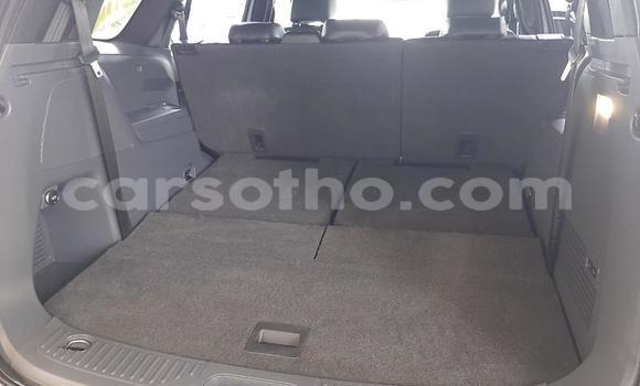 Buy Used Ford Everest White Car in Maseru in Maseru Buy Used Ford Everest White Car in Maseru in Maseru