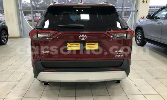 Buy Used Toyota RAV4 Other Car in Butha–Buthe in Thaba-Tseka Buy Used Toyota RAV4 Other Car in Butha–Buthe in Thaba-Tseka