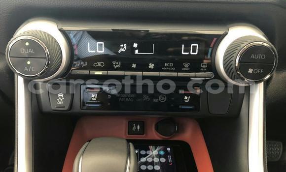 Buy Used Toyota RAV4 Other Car in Butha–Buthe in Thaba-Tseka Buy Used Toyota RAV4 Other Car in Butha–Buthe in Thaba-Tseka