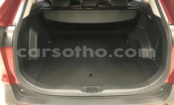 Buy Used Toyota RAV4 Other Car in Butha–Buthe in Thaba-Tseka Buy Used Toyota RAV4 Other Car in Butha–Buthe in Thaba-Tseka
