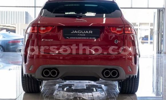 Acheter Occasion Voiture Jaguar F-Pace Rouge à Mafeteng, Mafeteng Acheter Occasion Voiture Jaguar F-Pace Rouge à Mafeteng, Mafeteng