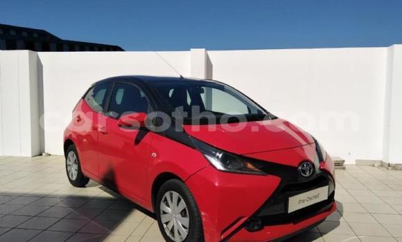 Buy Used Toyota Aygo Red Car in Maseru in Maseru Buy Used Toyota Aygo Red Car in Maseru in Maseru