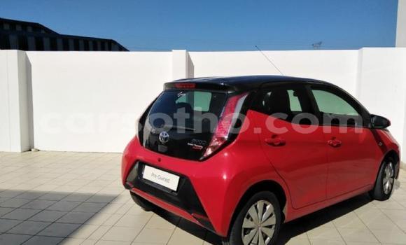 Buy Used Toyota Aygo Red Car in Maseru in Maseru Buy Used Toyota Aygo Red Car in Maseru in Maseru