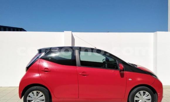 Buy Used Toyota Aygo Red Car in Maseru in Maseru Buy Used Toyota Aygo Red Car in Maseru in Maseru