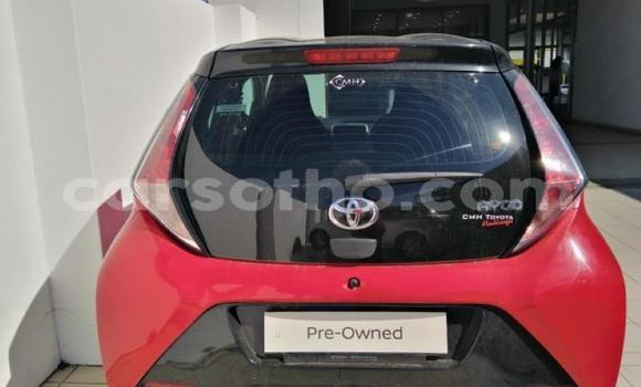 Buy Used Toyota Aygo Red Car in Maseru in Maseru Buy Used Toyota Aygo Red Car in Maseru in Maseru