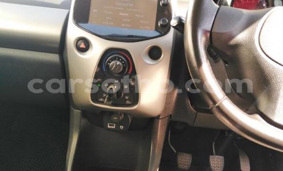 Buy Used Toyota Aygo Red Car in Maseru in Maseru Buy Used Toyota Aygo Red Car in Maseru in Maseru