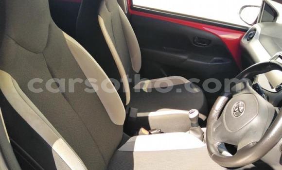 Buy Used Toyota Aygo Red Car in Maseru in Maseru Buy Used Toyota Aygo Red Car in Maseru in Maseru
