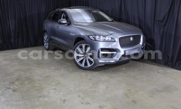 Acheter Occasion Voiture Jaguar F-Pace Autre à Maseru, Maseru Acheter Occasion Voiture Jaguar F-Pace Autre à Maseru, Maseru