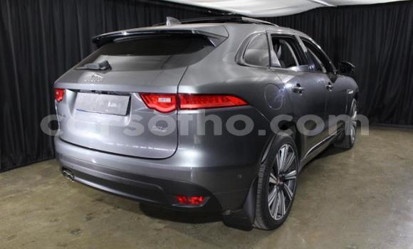 Acheter Occasion Voiture Jaguar F-Pace Autre à Maseru, Maseru Acheter Occasion Voiture Jaguar F-Pace Autre à Maseru, Maseru