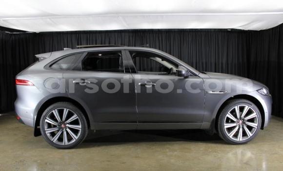 Acheter Occasion Voiture Jaguar F-Pace Autre à Maseru, Maseru Acheter Occasion Voiture Jaguar F-Pace Autre à Maseru, Maseru