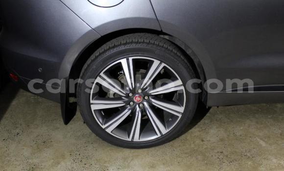 Acheter Occasion Voiture Jaguar F-Pace Autre à Maseru, Maseru Acheter Occasion Voiture Jaguar F-Pace Autre à Maseru, Maseru