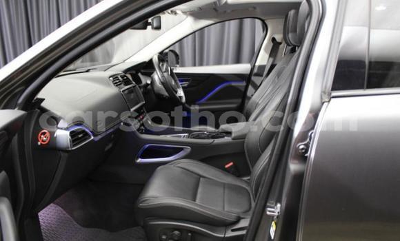 Acheter Occasion Voiture Jaguar F-Pace Autre à Maseru, Maseru Acheter Occasion Voiture Jaguar F-Pace Autre à Maseru, Maseru