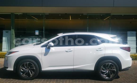 Acheter Occasion Voiture Lexus RX Blanc à Maseru, Maseru Acheter Occasion Voiture Lexus RX Blanc à Maseru, Maseru