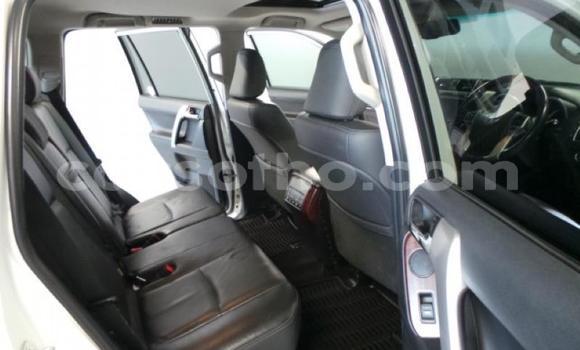 Acheter Occasion Voiture Toyota Prado Blanc à Maseru, Maseru Acheter Occasion Voiture Toyota Prado Blanc à Maseru, Maseru