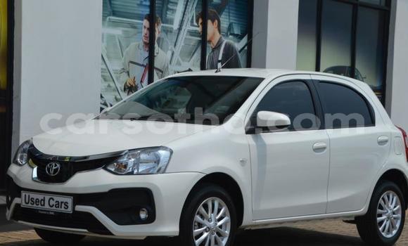 Buy Used Toyota Etios White Car in Maseru in Maseru Buy Used Toyota Etios White Car in Maseru in Maseru