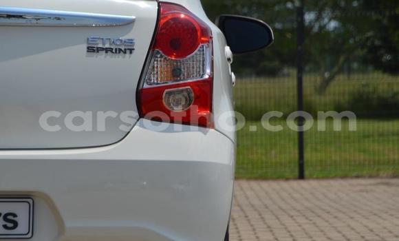 Buy Used Toyota Etios White Car in Maseru in Maseru Buy Used Toyota Etios White Car in Maseru in Maseru