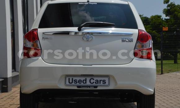 Buy Used Toyota Etios White Car in Maseru in Maseru Buy Used Toyota Etios White Car in Maseru in Maseru