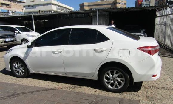 اشتري مستعمل Toyota Corolla White سيارة في Mohale's Hoek في Mohale's Hoek اشتري مستعمل Toyota Corolla White سيارة في Mohale's Hoek في Mohale's Hoek