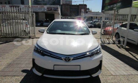اشتري مستعمل Toyota Corolla White سيارة في Mohale's Hoek في Mohale's Hoek اشتري مستعمل Toyota Corolla White سيارة في Mohale's Hoek في Mohale's Hoek