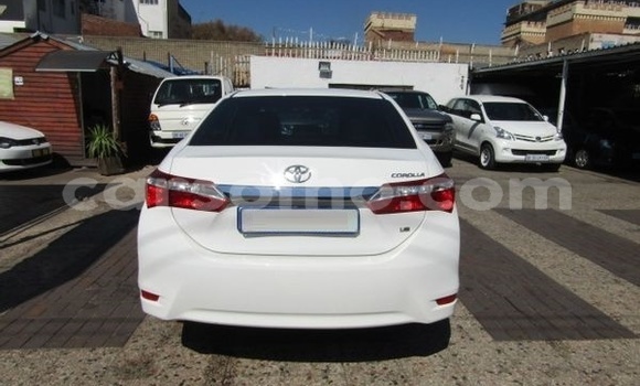 اشتري مستعمل Toyota Corolla White سيارة في Mohale's Hoek في Mohale's Hoek اشتري مستعمل Toyota Corolla White سيارة في Mohale's Hoek في Mohale's Hoek