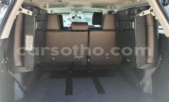 اشتري مستعمل Toyota Fortuner Silver سيارة في Maseru في Maseru اشتري مستعمل Toyota Fortuner Silver سيارة في Maseru في Maseru