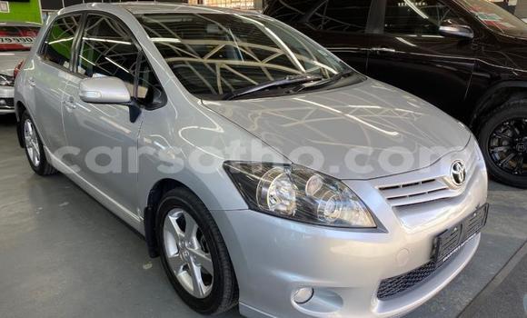 Buy Used Toyota Auris Silver Car in Maseru in Maseru Buy Used Toyota Auris Silver Car in Maseru in Maseru