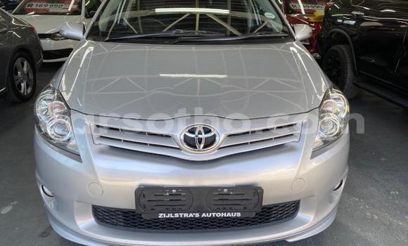 Buy Used Toyota Auris Silver Car in Maseru in Maseru Buy Used Toyota Auris Silver Car in Maseru in Maseru