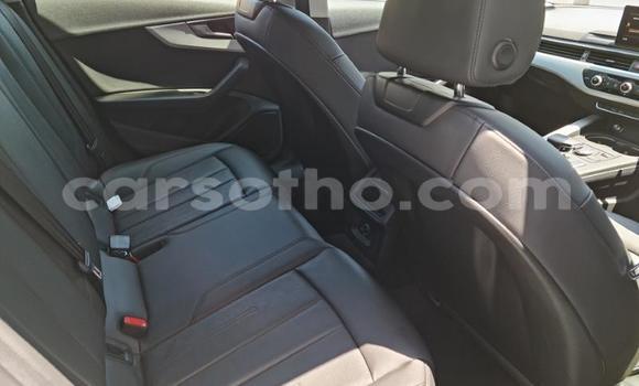 Buy Used Audi A4 White Car in Maseru in Maseru Buy Used Audi A4 White Car in Maseru in Maseru