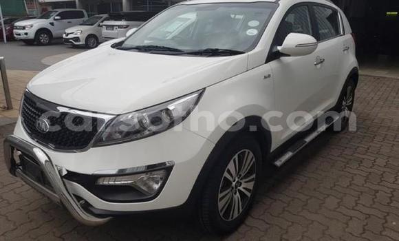 Buy Used Kia Sportage White Car in Maseru in Maseru Buy Used Kia Sportage White Car in Maseru in Maseru