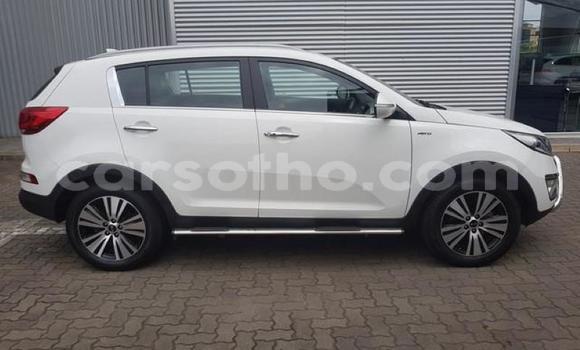 Buy Used Kia Sportage White Car in Maseru in Maseru Buy Used Kia Sportage White Car in Maseru in Maseru