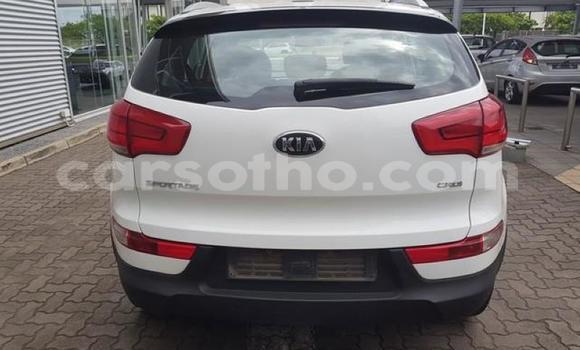 Buy Used Kia Sportage White Car in Maseru in Maseru Buy Used Kia Sportage White Car in Maseru in Maseru