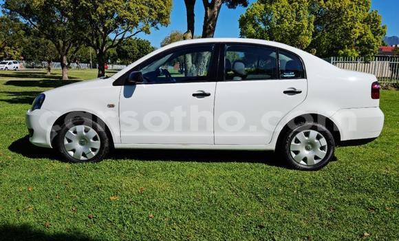 اشتري مستعمل Volkswagen Polo Other سيارة في Butha–Buthe في Thaba-Tseka اشتري مستعمل Volkswagen Polo Other سيارة في Butha–Buthe في Thaba-Tseka