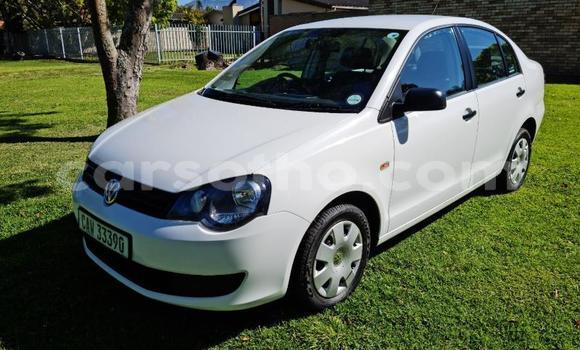 اشتري مستعمل Volkswagen Polo Other سيارة في Butha–Buthe في Thaba-Tseka اشتري مستعمل Volkswagen Polo Other سيارة في Butha–Buthe في Thaba-Tseka