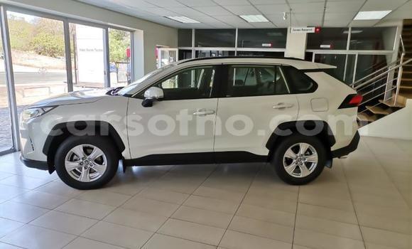 اشتري مستعمل Toyota RAV4 Silver سيارة في Maseru في Maseru اشتري مستعمل Toyota RAV4 Silver سيارة في Maseru في Maseru