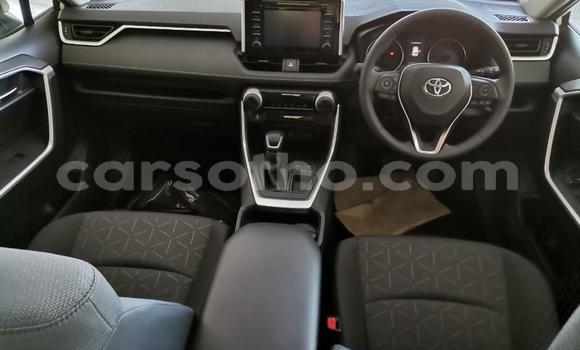 اشتري مستعمل Toyota RAV4 Silver سيارة في Maseru في Maseru اشتري مستعمل Toyota RAV4 Silver سيارة في Maseru في Maseru