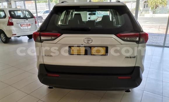 اشتري مستعمل Toyota RAV4 Silver سيارة في Maseru في Maseru اشتري مستعمل Toyota RAV4 Silver سيارة في Maseru في Maseru