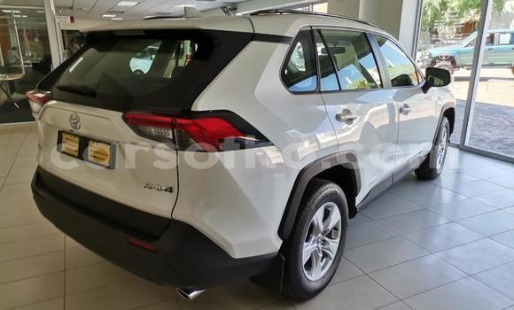 اشتري مستعمل Toyota RAV4 Silver سيارة في Maseru في Maseru اشتري مستعمل Toyota RAV4 Silver سيارة في Maseru في Maseru