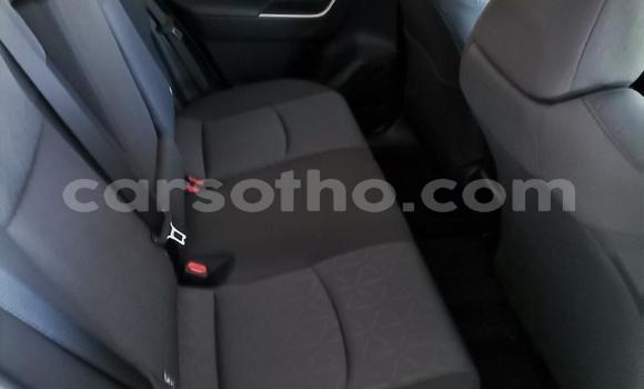 اشتري مستعمل Toyota RAV4 Silver سيارة في Maseru في Maseru اشتري مستعمل Toyota RAV4 Silver سيارة في Maseru في Maseru
