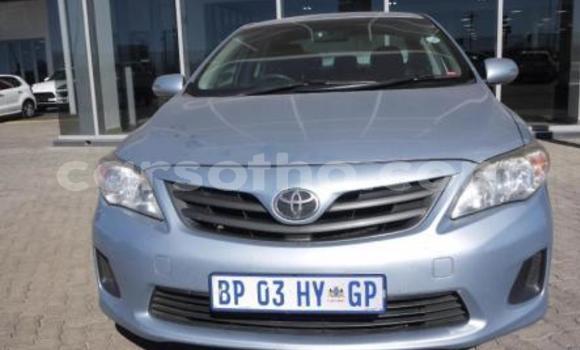 Buy Import Toyota Corolla Blue Car in Maseru in Maseru Buy Import Toyota Corolla Blue Car in Maseru in Maseru